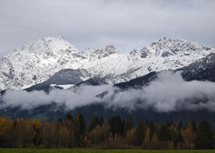 Schwarm Haus Leogang *
