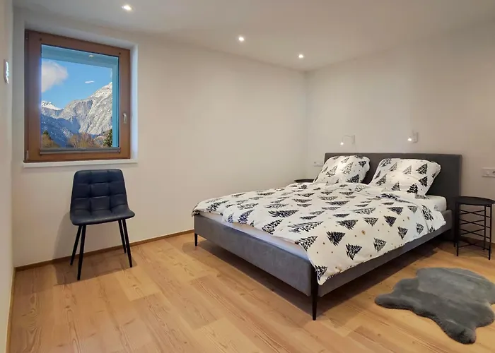 公寓 Schwarm Haus Leogang 萨菲登安斯泰内嫩米尔