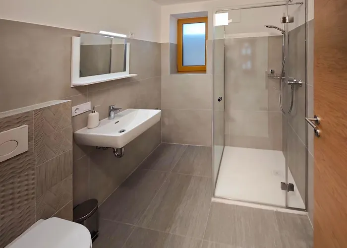 Schwarm Haus Leogang 公寓 萨菲登安斯泰内嫩米尔