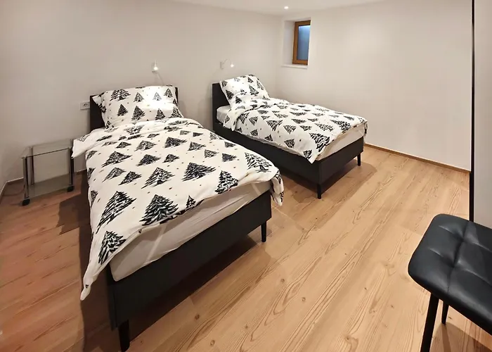 Schwarm Haus Leogang * 萨菲登安斯泰内嫩米尔